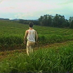 Bilder Os Jovens Baumann