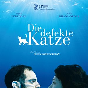 Bilder Die defekte Katze