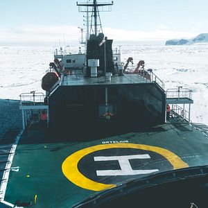 Bilder Projekt: Antarktis