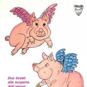 Bilder Schweine mit Flügeln