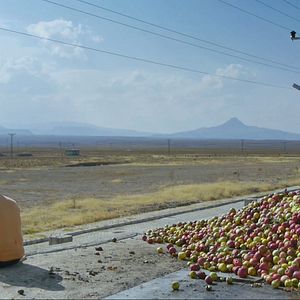 Bilder Tokat - Das Leben schlägt zurück