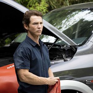 Bilder Animal Kingdom