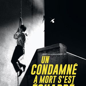 Bilder Ein zum Tode Verurteilter ist entflohen