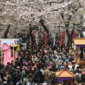 Bilder #Female Pleasure