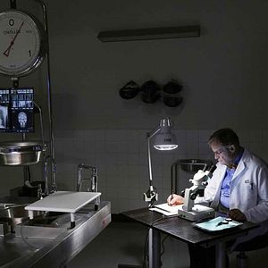 Bilder David McCallum