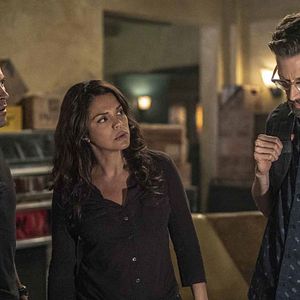 Bilder Vanessa Ferlito