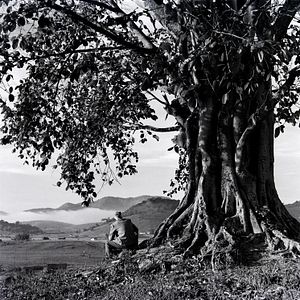 Bilder Humberto Mauro, Cinema É Cachoeira
