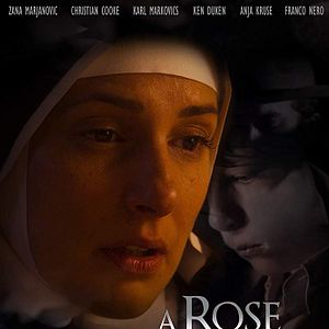 Bilder A Rose In Winter