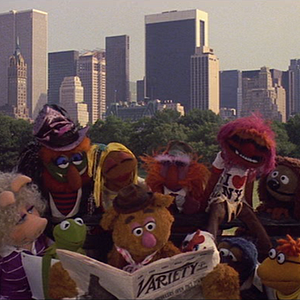 Bilder Die Muppets erobern Manhattan