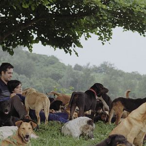 Bilder Cascos Indomables