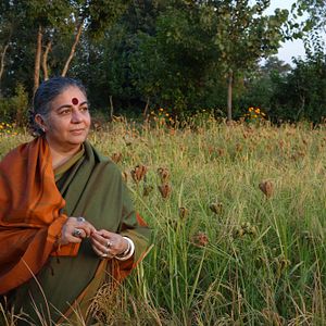 Bilder Unser Saatgut - Wir ernten, was wir säen