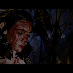 Bilder House on Elm Lake