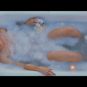 Bilder Social Animals