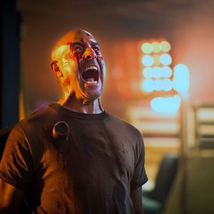 Bilder Stanley Tucci