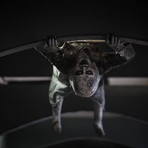 Bilder The School - Schule des Grauens