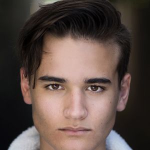 Bilder Will E. McDonald