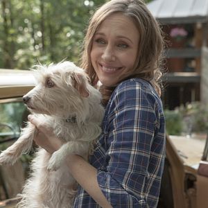 Bilder Vera Farmiga