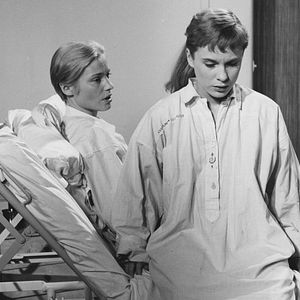 Bilder Nahe dem Leben