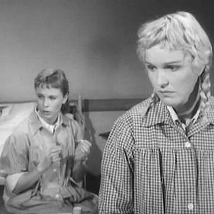 Bilder Nahe dem Leben