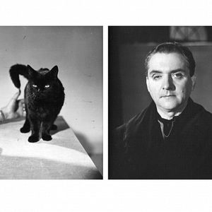 Bilder Die Jungfrauenbrücke