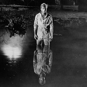 Bilder Ein Mann wird gejagt