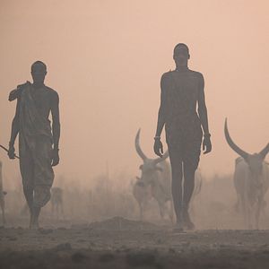 Bilder An den Rändern der Welt