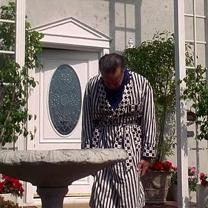 Bilder Beaver ist los!