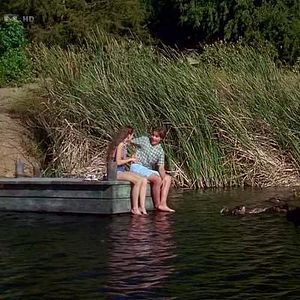 Bilder Beaver ist los!