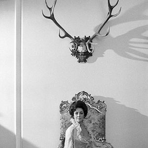 Bilder Das Lächeln einer Sommernacht