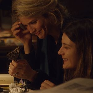 Bilder Der Flohmarkt von Madame Claire