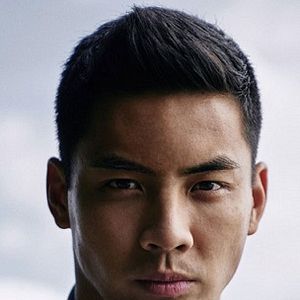 Bilder Yoshi Sudarso