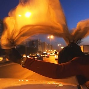 Bilder Freedom Fields