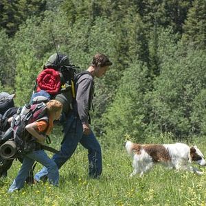 Bilder Pluto - Ein Schutzengel auf vier Pfoten