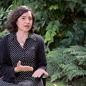 Bilder Kangaroo – A Love-Hate Story