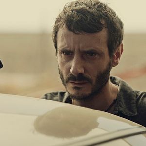 Bilder Animales sin collar