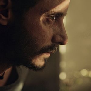 Bilder Animales sin collar