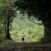 Bilder Nosotros las piedras