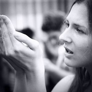 Bilder Pink Elephants