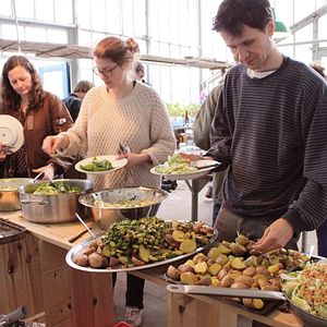 Bilder Von Bienen und Blumen