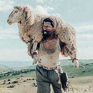 Bilder Sew the Winter to My Skin