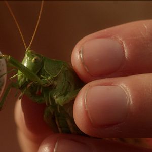Bilder Mein Bruder heißt Robert und ist ein Idiot