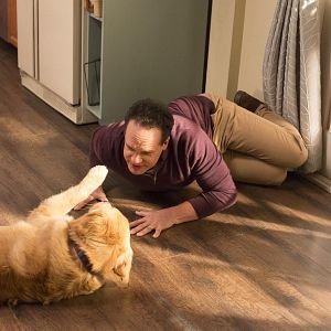 Bilder Diedrich Bader