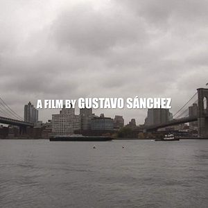 Bilder I Hate New York