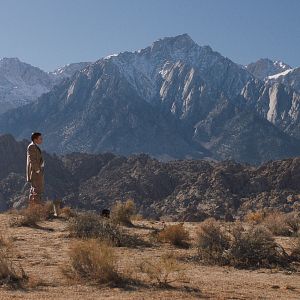 Bilder The Great Darkened Days