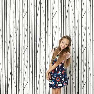 Bilder American Housewife (2016)