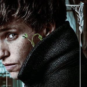 Bilder Phantastische Tierwesen: Grindelwalds Verbrechen