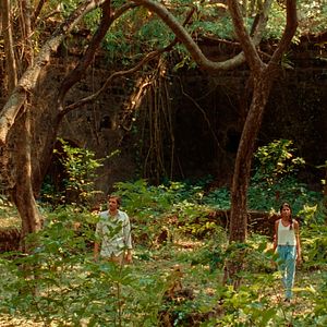 Bilder Aarshi Banerjee