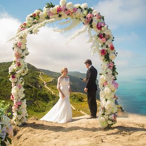 Bilder Superfamily 2