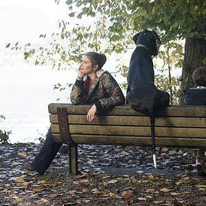 Bilder Freaky Friday