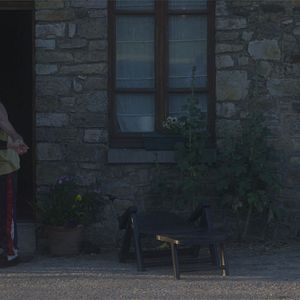 Bilder L'Oeil du tigre